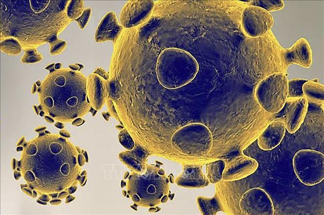 Italy lo ngại về các biến thể mới của virus SARS-CoV-2