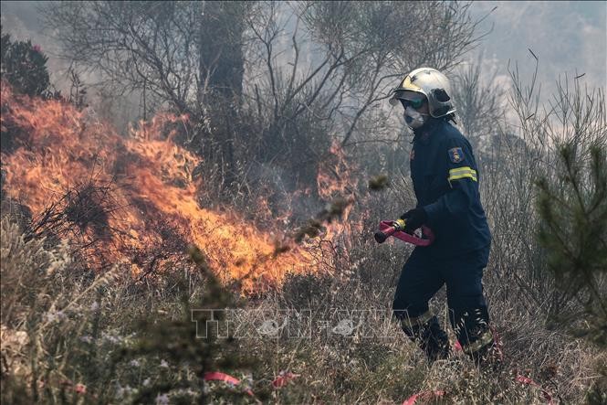 Cháy rừng vượt tầm kiểm soát tại Hy Lạp