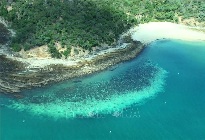 Nỗ lực cứu rạn san hô Great Barrier