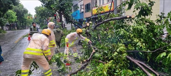 Chiều tối 7/9, khu vực nội đô Hà Nội gió tăng lên cấp 8, giật cấp 10