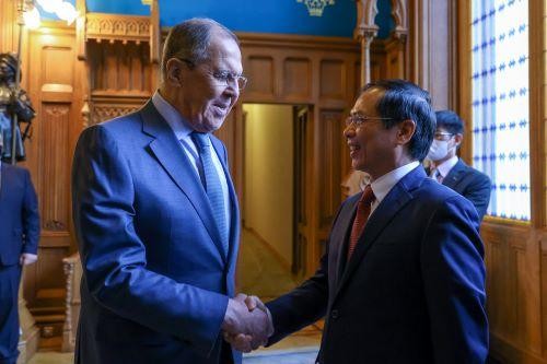 Phó Thủ tướng, Bộ trưởng Ngoại giao Bùi Thanh Sơn gặp Bộ trưởng Ngoại giao Nga Sergei Lavrov