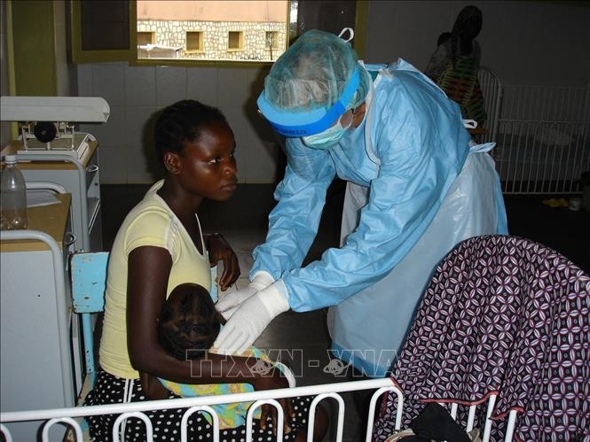 Rwanda tuyên bố kết thúc đợt bùng phát virus Marburg