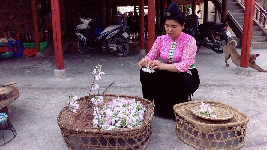 Ngất ngây với những món ngon chế biến từ hoa ban