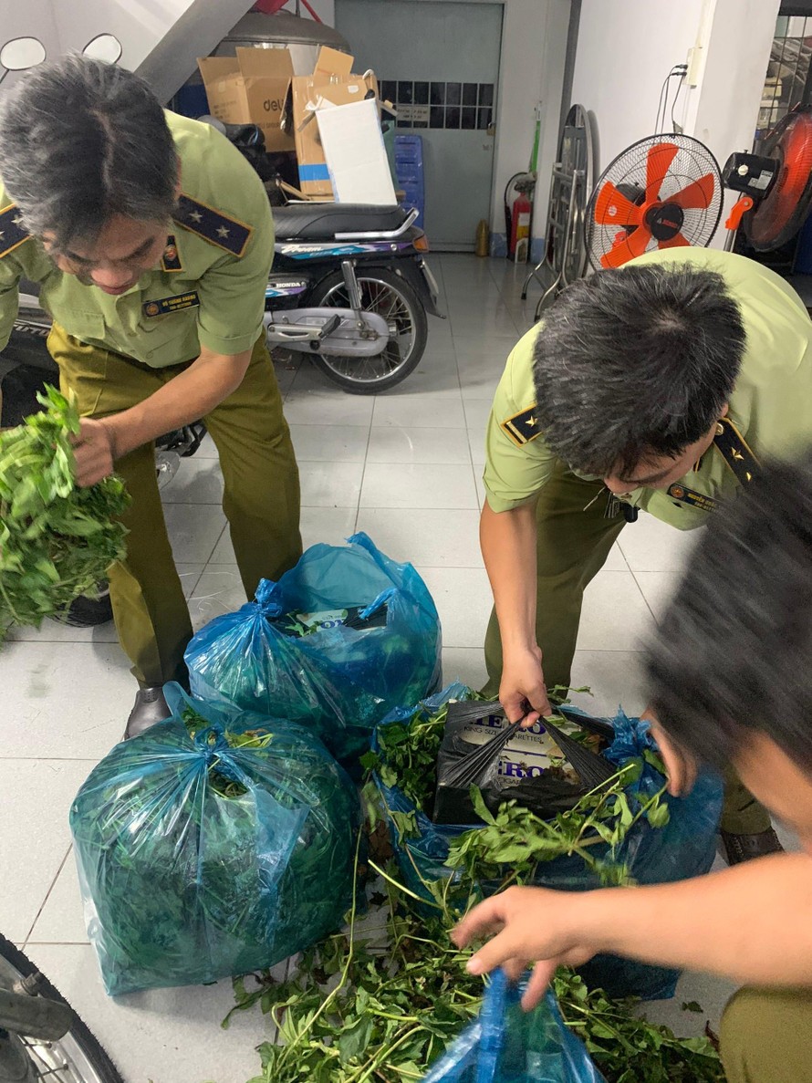 Phát hiện ngàn bao thuốc lá nhập lậu ngụy trang bên... trong rau muống