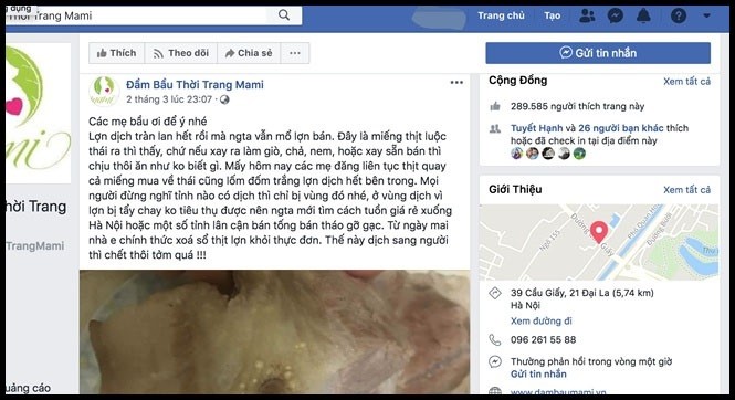 Tung tin sai sự thật, chủ Fanpage Đầm Bầu Mami có thể bị phạt 20 triệu đồng