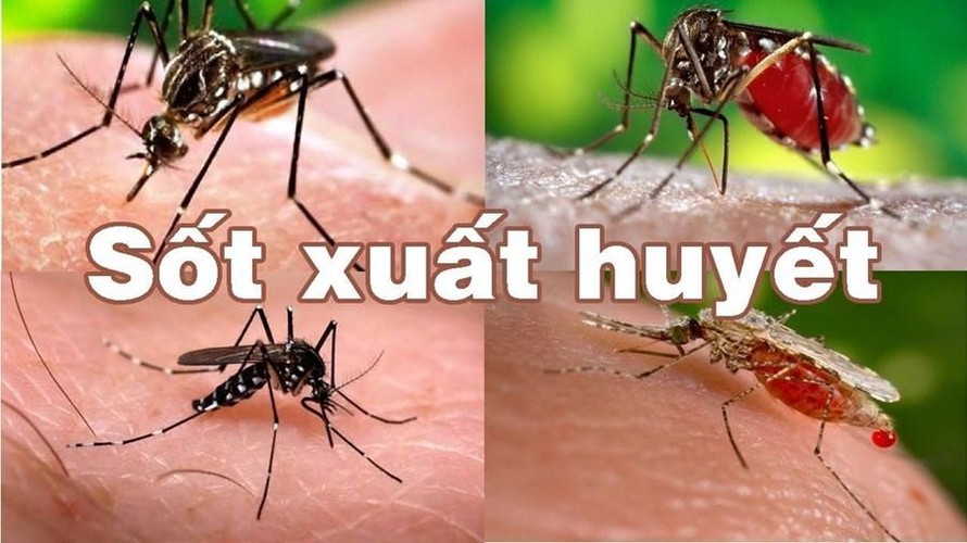 Sốt xuất huyết bùng phát theo chu kỳ: Người dân không nên chủ quan