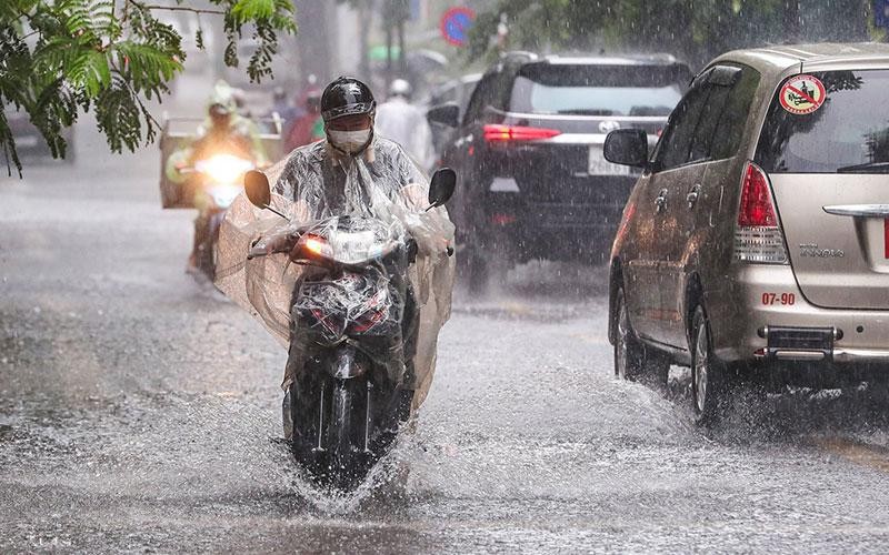 Khu vực Tây Nguyên, Nam Bộ có mưa vừa và dông