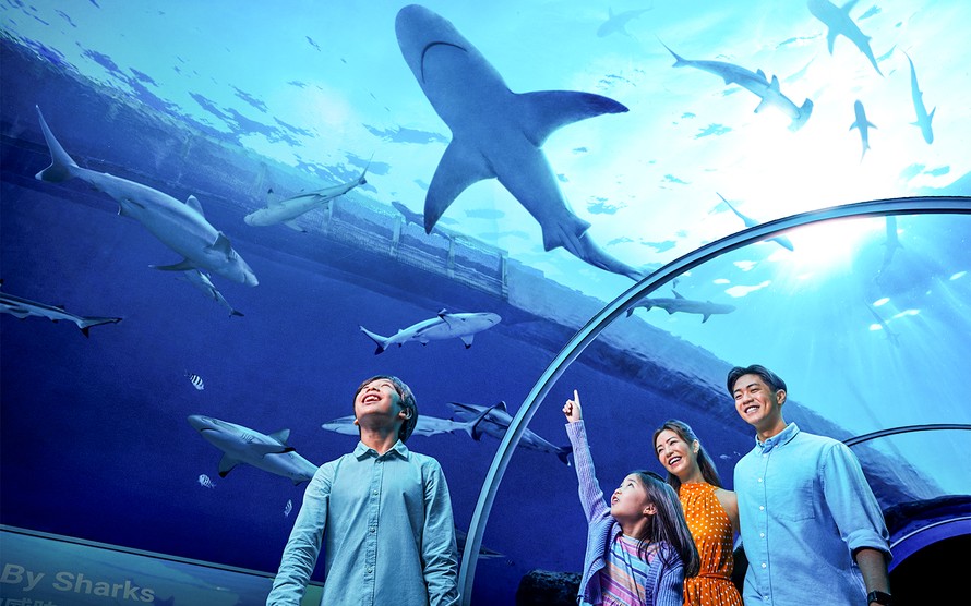 S.E.A Aquarium tại Resort World Sentosa, Singapore. Ảnh: Resort World Sentosa