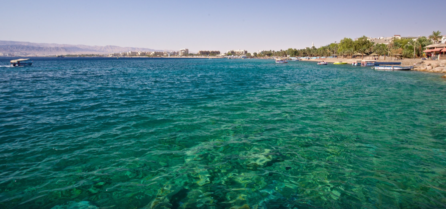 Nỗ lực đưa Khu bảo tồn biển Aqaba lên bản đồ UNESCO. Ảnh: Expedia