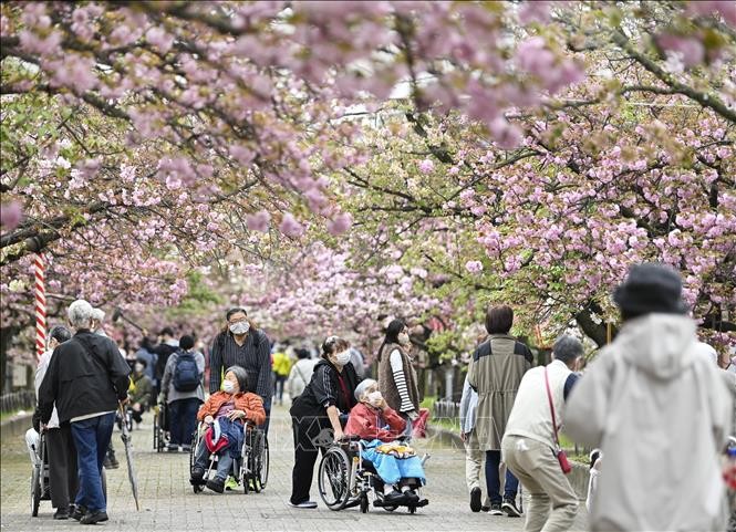 Người cao tuổi tại Osaka, Nhật Bản.