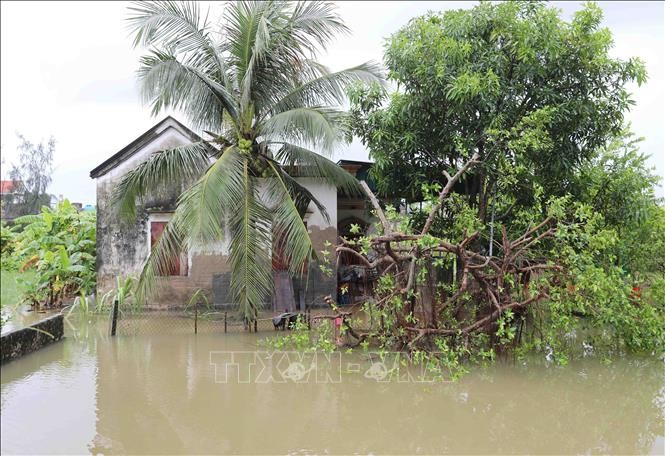 Nhà ở và vườn của người dân trên địa bàn xã Diễn Bích, huyện Diễn Châu, Nghệ An bị ngập nặng.