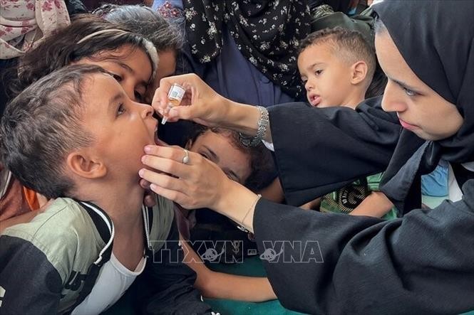 Trẻ em Palestine được uống vaccine phòng bại liệt tại Dải Gaza.