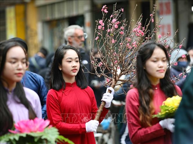 Thiếu nữ bên cành đào đón Xuân. Ảnh: Thanh Tùng/TTXVN