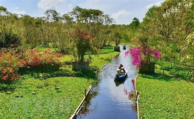 Khách du lịch đi xuồng tham quan Rừng tràm Trà Sư (huyện Tịnh Biên, An Giang). Ảnh: Thanh Sang/TTXVN.