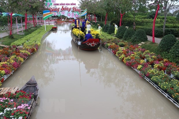 Khu du lịch cánh đồng hoa hồng ở phường Tân Quy Đông, thành phố Sa Đéc ( Đồng Tháp).