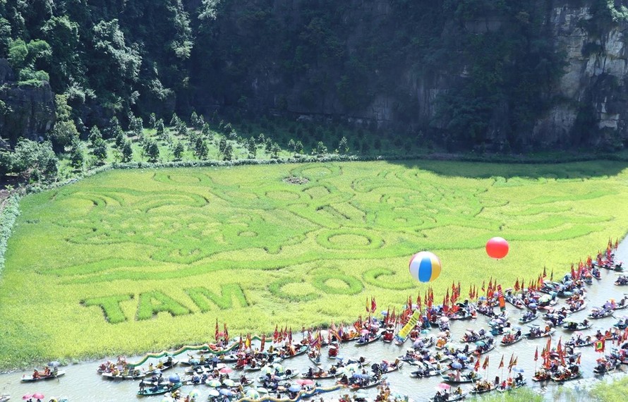 Bức tranh “Lý ngư vọng nguyệt” được tạo nên bằng những cây lúa là điểm nhấn của Tuần lễ du lịch. Ảnh: Đức Phương/TTXVN.