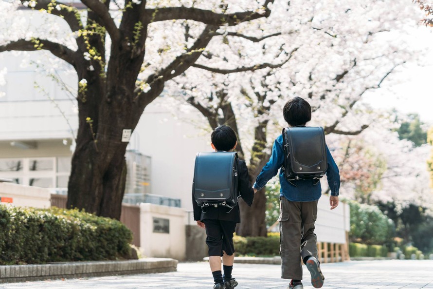 Ảnh minh hoạ. Nguồn: Japan Times.