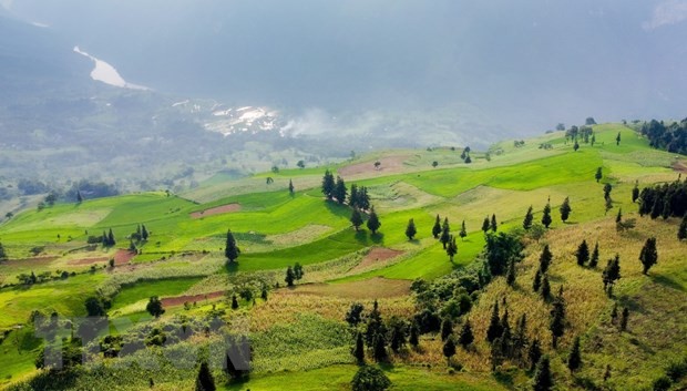 Hà Giang: Đánh thức tiềm năng du lịch ở Thảo nguyên Suôi Thầu