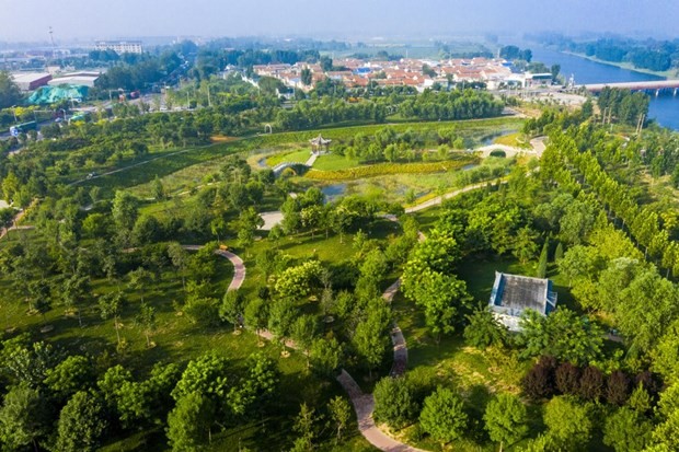 Nơi phát hiện tàn tích ngôi đền Đạo giáo cổ tại Công viên Guanjin, huyện Wuyi, tỉnh Hà Bắc, phía bắc Trung Quốc.