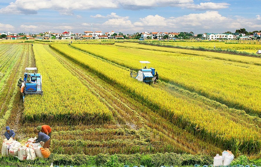 Tháo gỡ khó khăn về nông nghiệp, nông dân, nông thôn