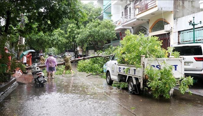 Lực lượng chức năng khắc phục hậu quả của bão số 2 tại thành phố Hạ Long (Quảng Ninh). Ảnh: Văn Đức/TTXVN.