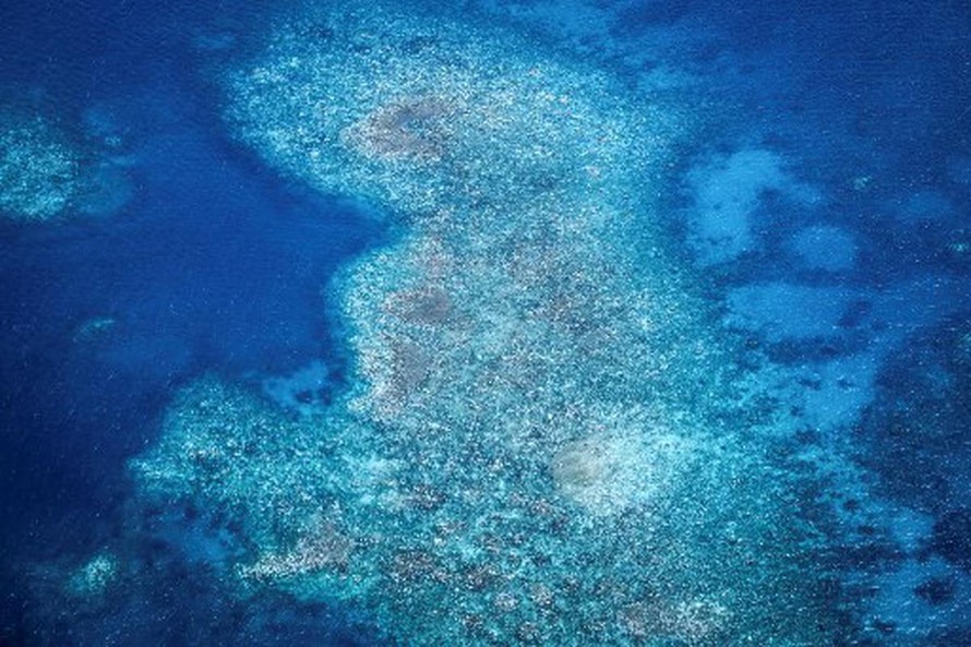 San hô trên Rạn Great Barrier quanh đảo Lizard, Australia bị tẩy trắng ngày 5/4/2024. Ảnh: AFP.