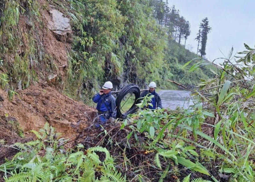 Băng rừng để khắc phục hạ tầng viễn thông.