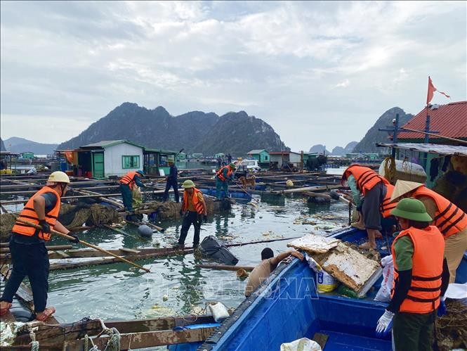 Các lực lượng của thành phố Cẩm Phả ra quân dọn dẹp rác trên vịnh Bái Tử Long sau bão số 3. Ảnh: TTXVN.