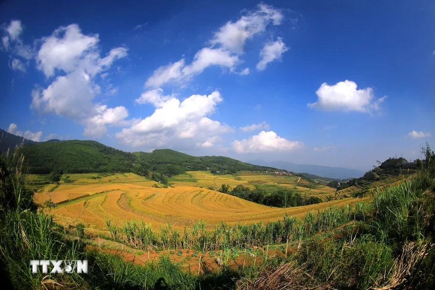 Ruộng bậc thang trải dài trên các sườn đồi của xã Miền Đồi (huyện Lạc Sơn, Hòa Bình).