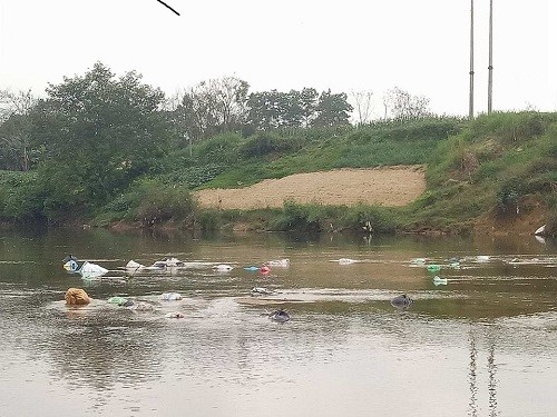 Rác thải 'bức tử' sông Ngàn Phố sau Tết Nguyên đán