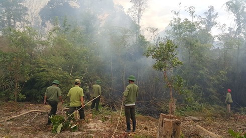 Lực lượng chữa cháy nỗ lực khống chế để đám cháy không lan rộng