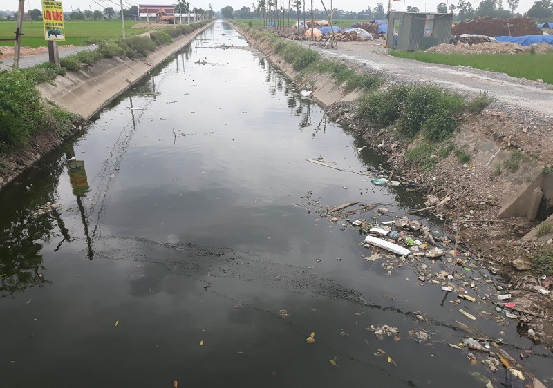 Nước trong mương chuyển sang màu đen ngòm, bốc mùi xú uế.