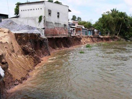 ĐBSCL liên tiếp bị sạt lở trong những năm gần đây. (Nguồn: Báo SGGP)