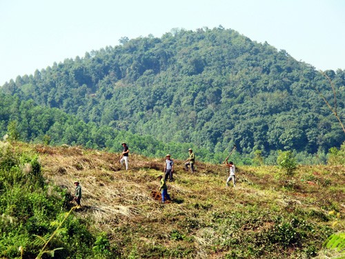 Ảnh minh họa