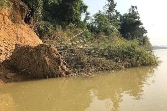 Sóc Trăng: Sạt lở ven sông Hậu nhấn chìm nhà dân