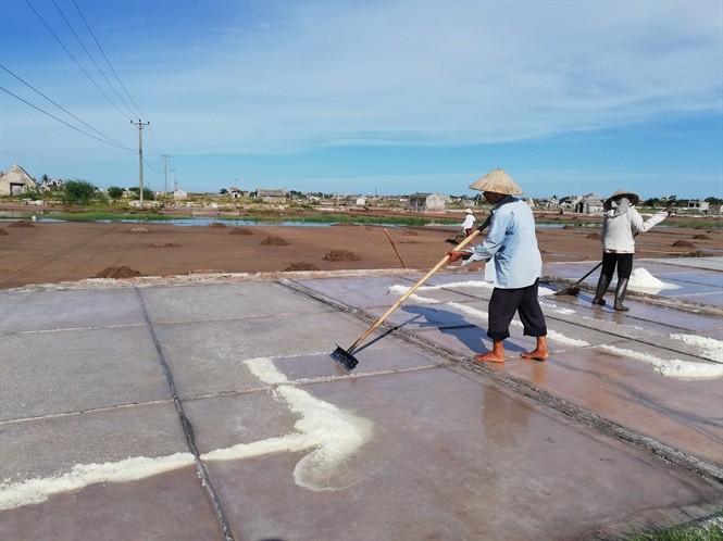 Diêm dân Hải Lý thu hoạch muối sau 1 ngày vất vả