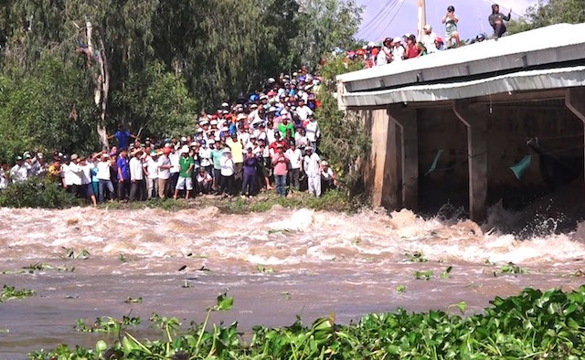 Tỉnh An Giang xả lũ đập Tha La. Ảnh: M.Anh.