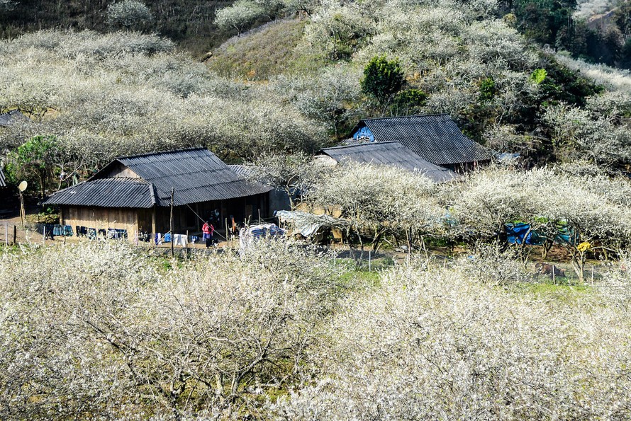 Khách sạn ở Mộc Châu cháy phòng dịp Tết Nguyên đán 2019