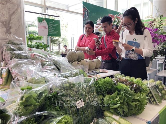 Các mặt hàng rau củ, quả chủ lực tại TP Hồ Chí Minh thu hút sự quan tâm của người tiêu dùng. Ảnh: Mỹ Phương/TTXVN