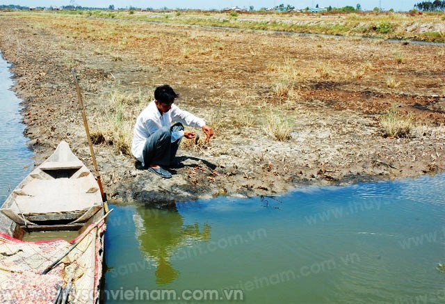 Khai thác và nuôi trồng thủy hải sản trong biến đổi khí hậu vô cùng thách thức (Ảnh: thuysanvietnam.com.vn)