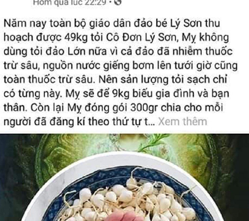 Xác minh thông tin ‘nói xấu’ tỏi Lý Sơn trên mạng xã hội