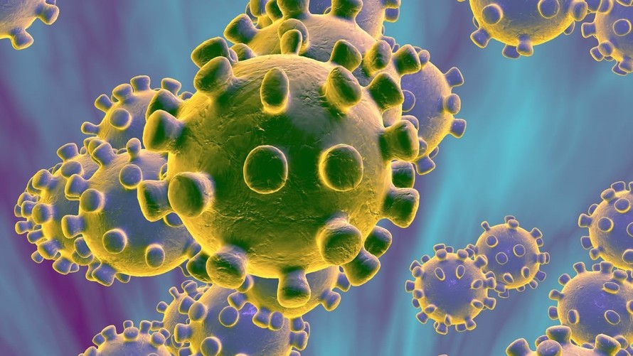 Brazil phát hiện virus mới bí ẩn với loại gen chưa từng được ghi nhận