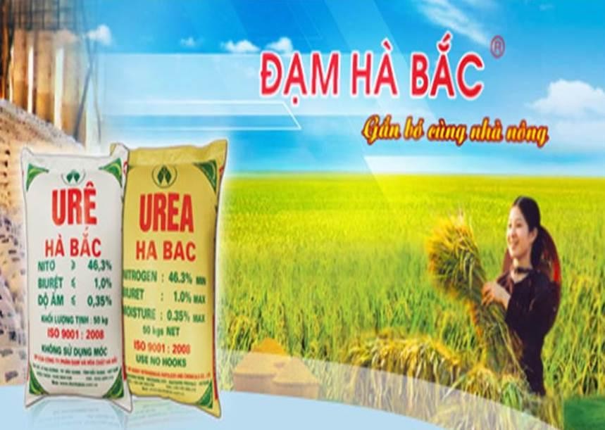 Đạm Hà Bắc bị nghi ngờ về khả năng hoạt động liên tục: Chủ nợ lớn nhất là VietinBank?