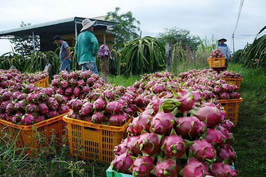 Phó thủ tướng Lê Văn Thành: Thúc đẩy lưu thông, tiêu thụ nông sản