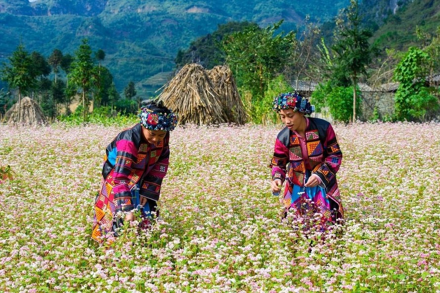 Đảm bảo thích ứng an toàn, Hà Giang sẵn sàng đón du khách trở lại