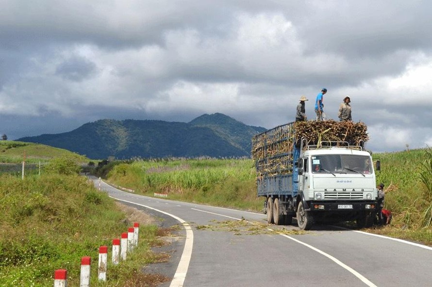 Một đoạn của đường Trường Sơn Đông. Ảnh: Tuvantruongson.vn