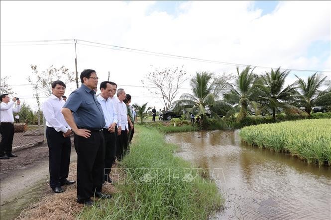 Thủ tướng Phạm Minh Chính khảo sát công tác giải phóng mặt bằng đường cao tốc Bắc - Nam phía Đông, tuyến Cần Thơ - Cà Mau. Ảnh: Dương Giang/TTXVN