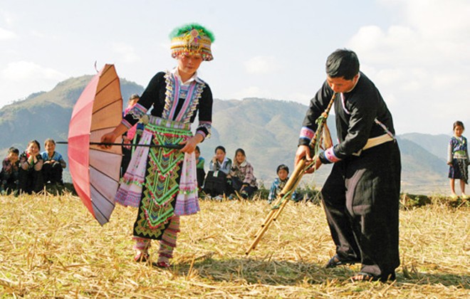 Ảnh minh họa