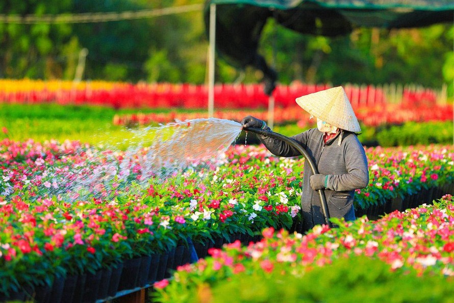 Tri ân tiền nhân và tôn vinh người trồng hoa, kiểng Sa Đéc