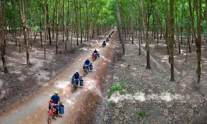 Chung tay quản lý đất bền vững